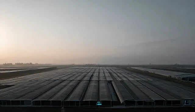 技术场景应用中技能提升的选型与维护建议